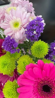 bright multi-colored colors of spring flowers in the gardens of Ireland
