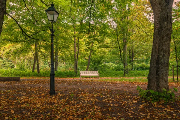 Leere Bank Park Herbstfarben — Stockfoto