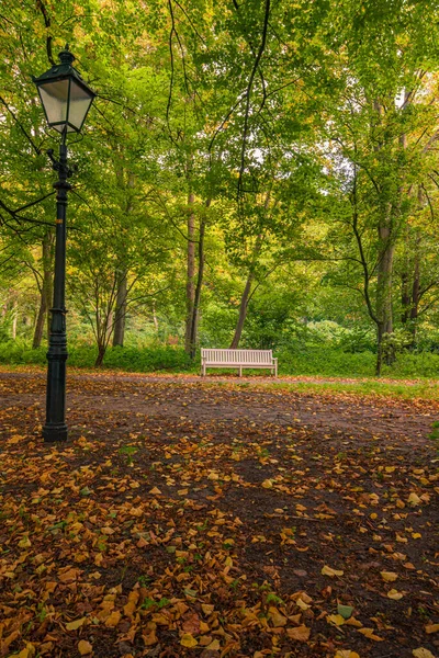 Friedlicher Tag Herbstpark — Stockfoto