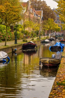 Leiden, Hollanda - 30 Ekim 2022: Doelengracht boyunca Leiden 'da ağaçlar, binalar ve teknelerle dolu resim gibi bir kanal.