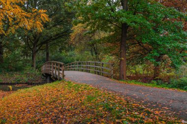 Bir sonbahar günü Leiderdorp 'taki De Houtkamp parkında ahşap köprüyle yürüyüş yolu.
