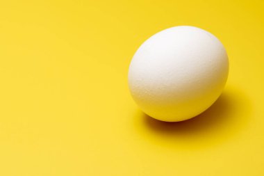 Sarı arka planda serbest bir yumurta.