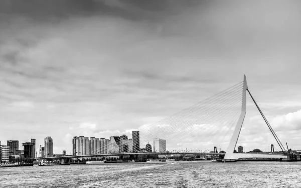 Rotterdam Niederlande Mai 2016 Schwarz Weiß Foto Der Rotterdamer Skyline — Stockfoto