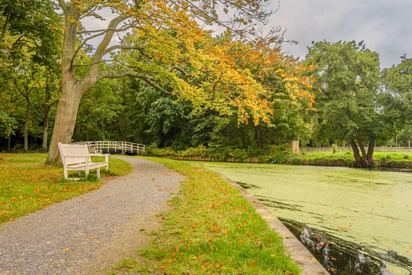 Hollanda, Noordwijkerhout 'taki Nieuw Leeuwenhorst parkında bir bank ile manzara