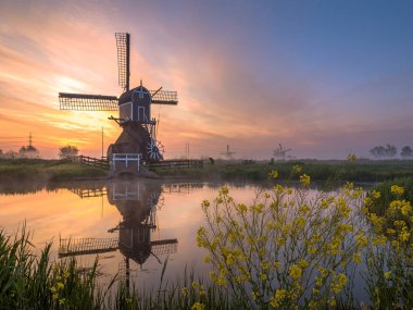 Leiderdorp, Hollanda - 8 Mayıs 2020: Leiderdorp, Güney Hollanda 'da gün doğumu.