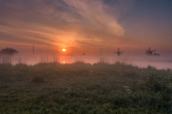 Foggy morning during the sunrise in the Munnikenpolder in Leiderdorp with the siloute of the windmills