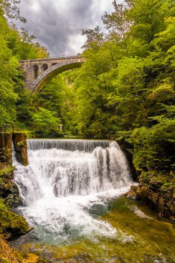 Slovenya Vintgar Vadisi 'nde çok güzel bir şelale. Şelale ve taş köprüye bak