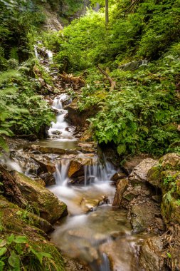 Avusturya 'daki Finsterbachfall' da küçük bir şelale