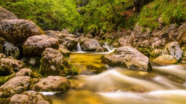 small stream flowing over rocks  in Triglav National Park, Slovenia