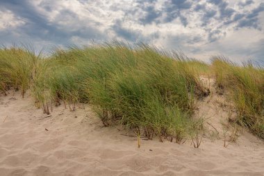 2. Maasvlakte, Rotterdam 'da, Kuzey Denizi üzerindeki kum tepesinden görüntü