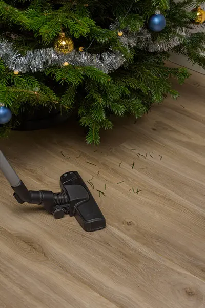 Elektrik süpürgesi yerden Noel ağacı iğneleri temizliyor.