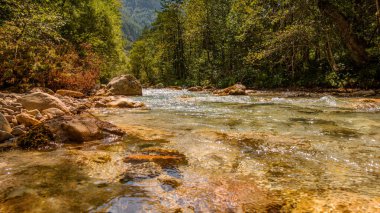 Avusturya 'daki Tscheppaschlucht vadisinde güzel, berrak bir doğa gölü. Suda alçak açılı görüş