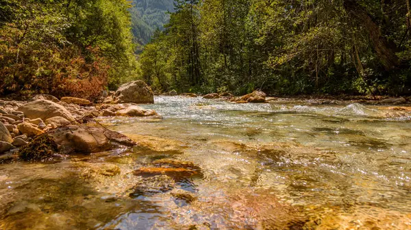 Avusturya 'daki Tscheppaschlucht vadisinde güzel, berrak bir doğa gölü. Suda alçak açılı görüş