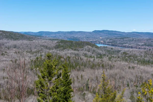 Mauricie (Canada Park), Quebec, Kanada ulusal parkından St. Maurice nehri manzarası