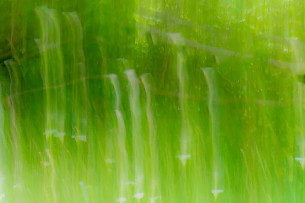 Impressionistische Maiglöckchen Zwischen Langem Grashintergrund Grüntönen — Stockfoto