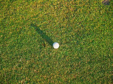 Sabahın köründe yeşil çimlerin üzerinde golf topunun uzun gölgesi.