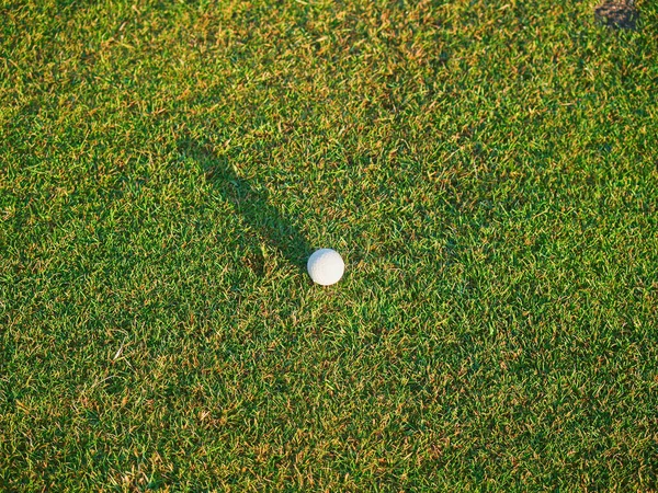 Larga Sombra Pelota Golf Sobre Hierba Verde Amanecer Luz Mañana — Foto de Stock