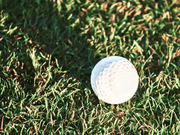 朝の光の中で日の出に緑の芝生の上でゴルフボールの長い影 — ストック写真