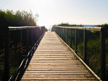 Kum tepeleri ve bitkilerin arasından İskoçya 'daki St. Andrews plajına ahşap geçit..