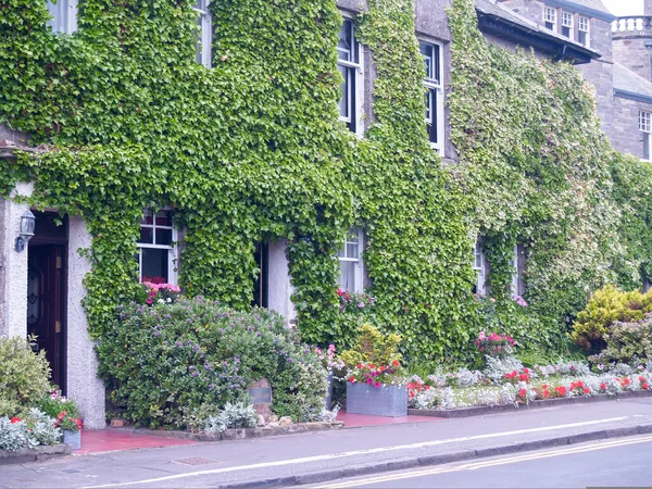 Residências Cena Rua Com Parede Coberta Com Hera Verde Escócia — Fotografia de Stock