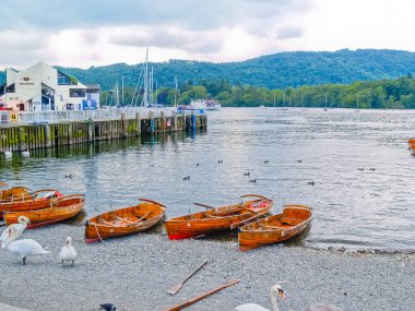 Bowness-on-Windermere - Birleşik Krallık - 28 Haziran 2009; Windermere Gölü kıyısındaki teknelerin sessiz kuğusu.