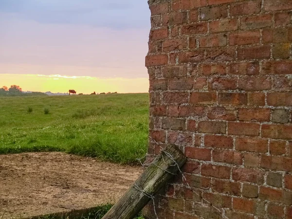 英式乡村景观日出时 砖墙的旧农场建筑和分散的背景 — 图库照片