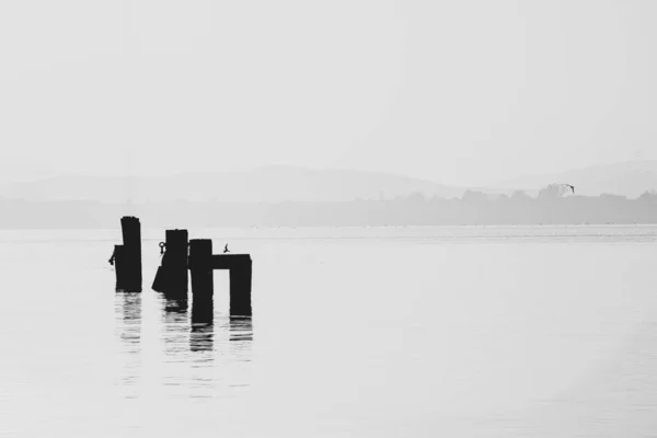 穏やかな霧の朝の日の出時の古い港の構造ミニマリズム — ストック写真