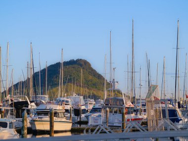 Maunganui Dağı marina tekne ve direklerinin ötesinde, Tauranga Yeni Zelanda.