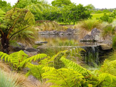 Bahçe göleti kayalıklarda ve şelaleli yeşillikler içinde..