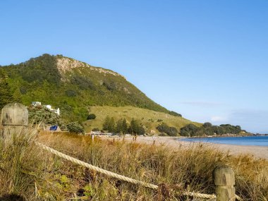 Tauranga Yeni Zelanda 'da, okyanus sahilinin sonundaki Maunganui Dağı..