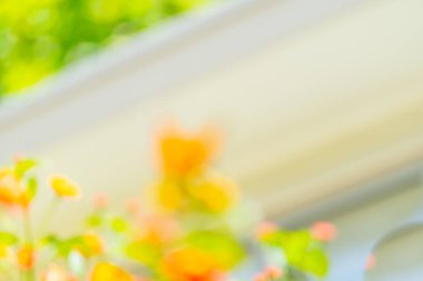 Hareket halindeki arka plan sanatsal görüntüsü çiçekleri ve yeşilliği bulanıklaştırır