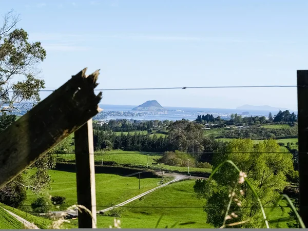 View Fence Farmland Hills Pyes Coast Mount Maunganui Tauranga New — Stock Photo, Image