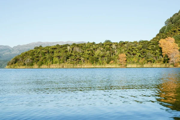 Bay Lake Tarawera Met Natuurlijke Bush Achtergrond — Stockfoto