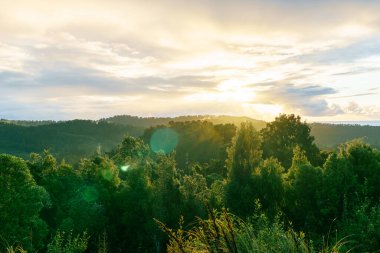 Günbatımı, Okarito 'nun arkasındaki tepelerde geniş Batı Yakası yağmur ormanlarının ağaç tepelerinde mercek patlamaları yarattı..