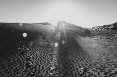 Monokrom kumlu eski dünya, güneş batarken yuvarlanan Castlecliff kumullarının siyah kumlarını etkiler ve yeni Zelanda 'da mercek patlaması etkisi yaratır..