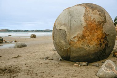 Moeraki Kayaları, Otago Yeni Zelanda 'daki Koekohe Sahili' ndeki ünlü küresel kayalar.
