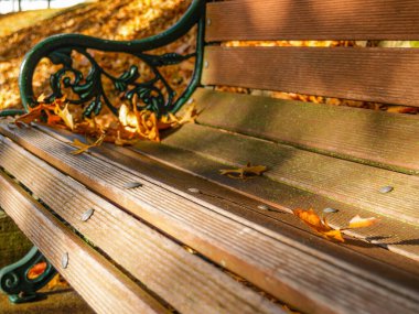 Açık havada, gölgedeki bank koltuğunun tahta tahtalarına odaklan.