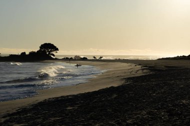 Maunganui Dağı Yeni Zelanda - 9 Ocak 2022: Suya sörf tahtaları taşıyan sörfçülerle siluet içinde plaj