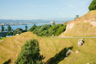 Maunganui Dağı 'nın yamacında yürüme pisti, liman ve arka planda kasaba Tauranga Yeni Zelanda.