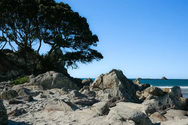 Rocky waters edge on base Mount Maunganui with silhouette of back-lit tree against blue sky, Tauranga New Zealand
