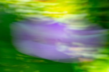 Abstract background motion blur flowers and foliage