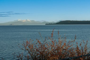 View across Lake Taupo with snow-capped mountains of Tongariro National Park in distance.
