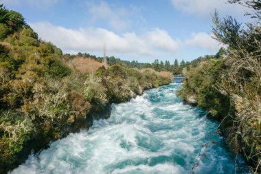 Huka Falls rapid water surging through bush clad gorge at Taupo New Zealand.