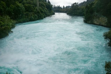 Huka Falls rapid water surging through bush clad gorge at Taupo New Zealand.