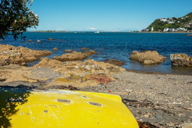 Island Bay view to sea nd horizon in Wellington New Zealand