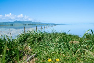 Fence leading into calm blue water of Lake Wairarapa with distant hills across other side in New Zealand North Island.