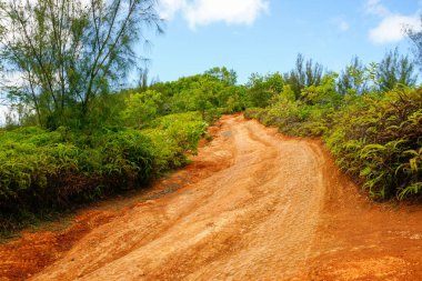 Deep red soil of rutted road through tropical greenery on island.