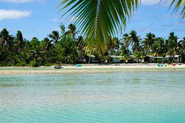 Focus on background beyond out of focus foreground frond over Tropical island lagoon beach on island of Aitutaki.