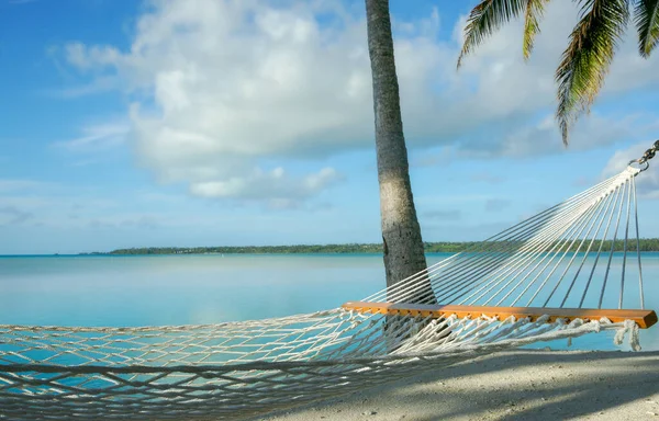 White string hammock strung between coconut palms on idyllic tropical island beach in South Pacific.