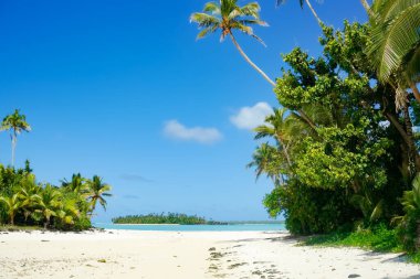 Idyllic view between palms and tropical vegetation to waters edge and off-shore island in heat shimmer on atoll of Aitutaki.